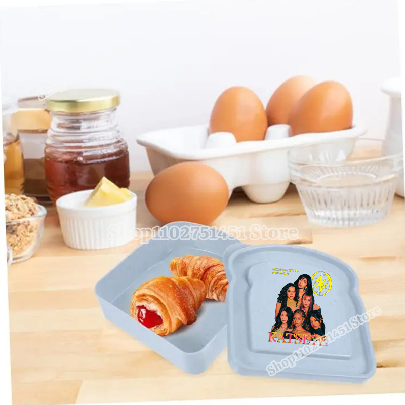 صندوق ساندويتش أنيق بنمط K-Kat - مراجعة Meal Prep Bag وسعره